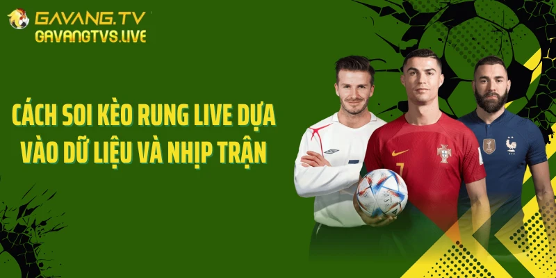 Cách soi kèo rung live dựa vào dữ liệu và nhịp trận