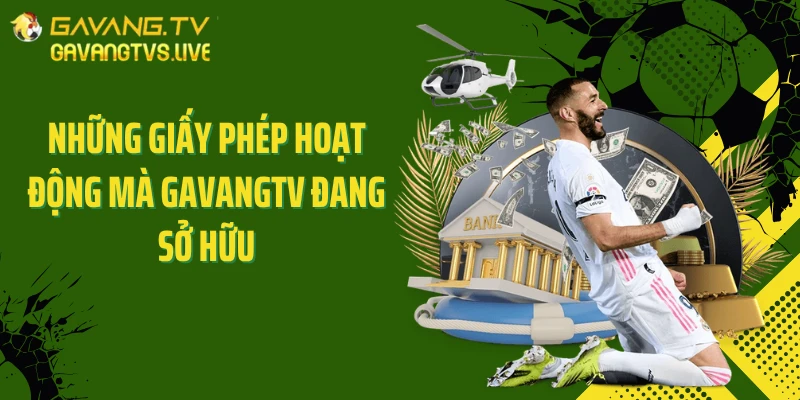 Những giấy phép hoạt động mà Gavangtv đang sở hữu