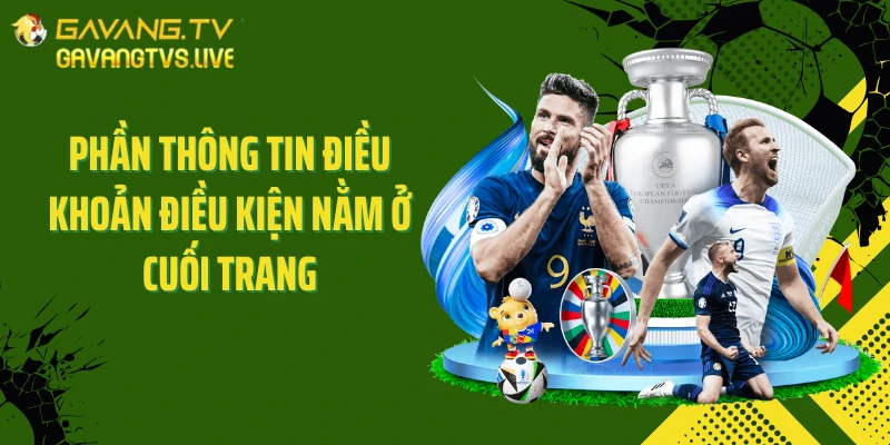 Phần thông tin điều khoản điều kiện nằm ở cuối trang