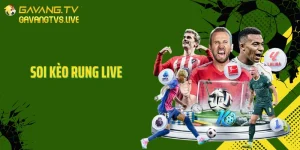 Soi Kèo Rung Live GavangTV - Phân Tích Biến Động Trận Đấu